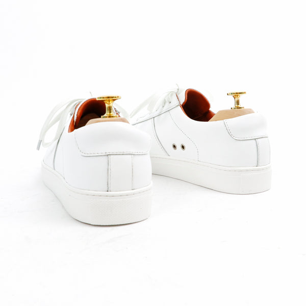 Scottie Sneaker White
