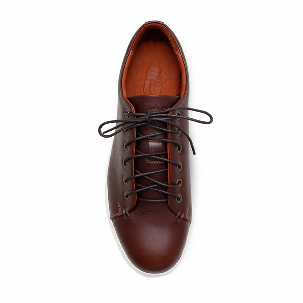Tom’s Tender Leather Sneaker Brandy Brown - Assembly Artisans Co.,Ltd.